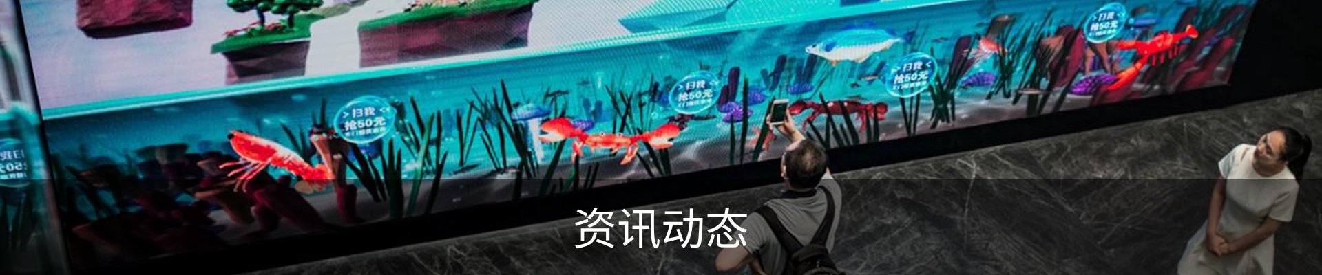 资讯动态