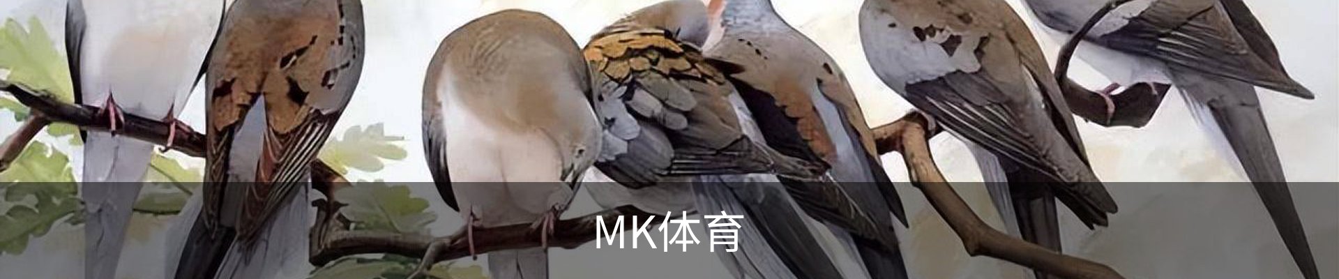 MK体育